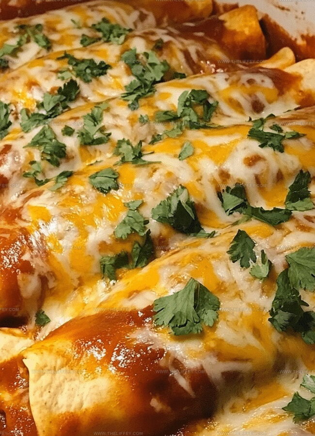 Variations On Ground Beef Enchiladas