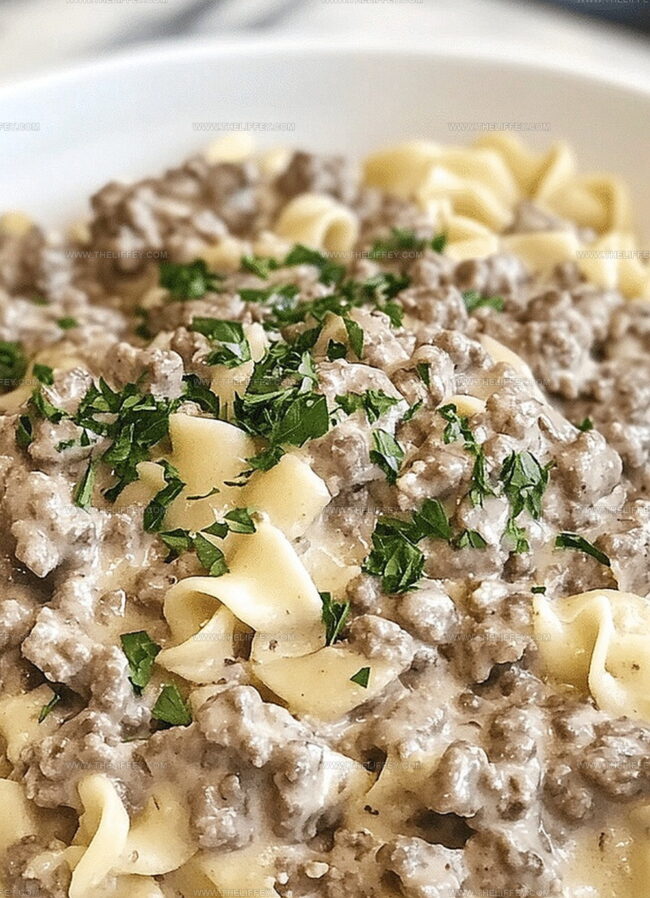 Flavor Variations for Hamburger Stroganoff