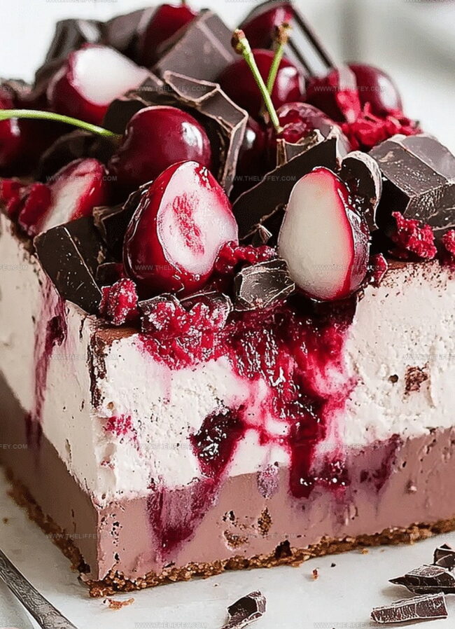 Fun Ideas with Cherry Chocolate Ice Cream Cake