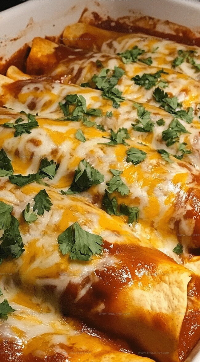 Tips For Ground Beef Enchiladas