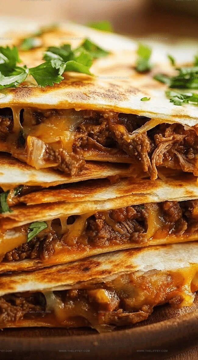 Beef Quesadilla Taste Sensations