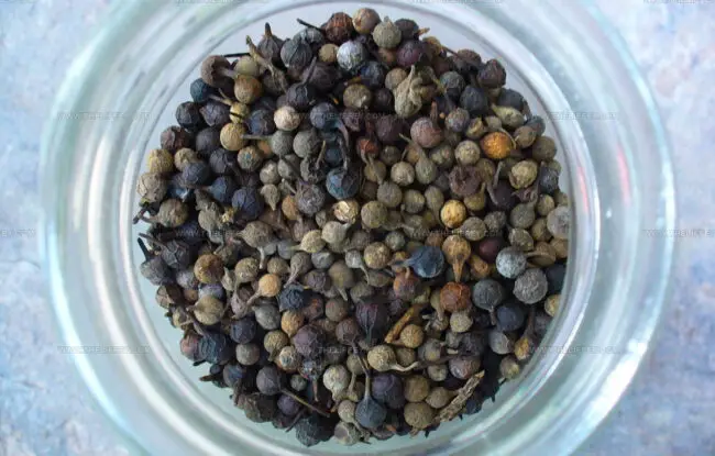 Cubeb Pepper