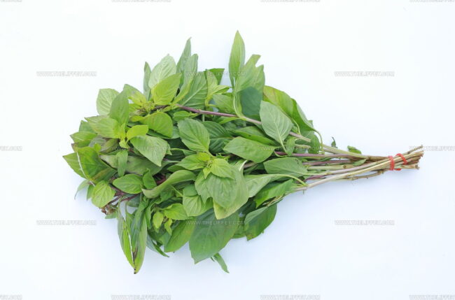 Thai Basil
