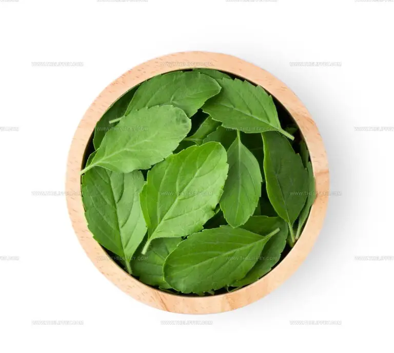 4 Basil Leaf Alternatives for Fresh Herb Flavor