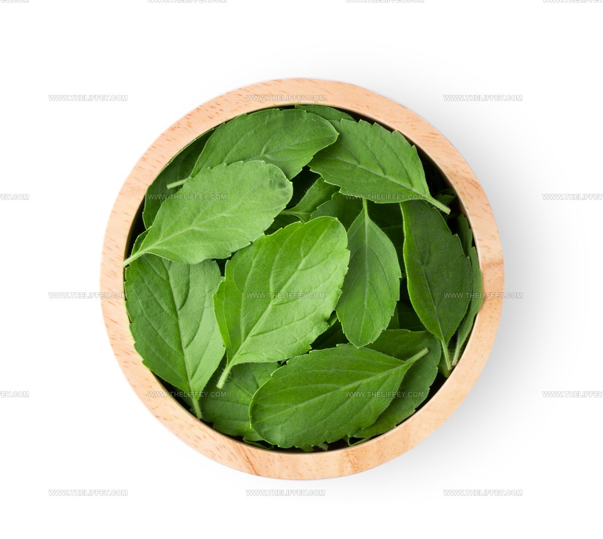 4 Basil Leaf Alternatives for Fresh Herb Flavor