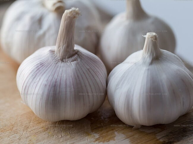 Exploring Garlic: Natural Treasure in Bulb Form