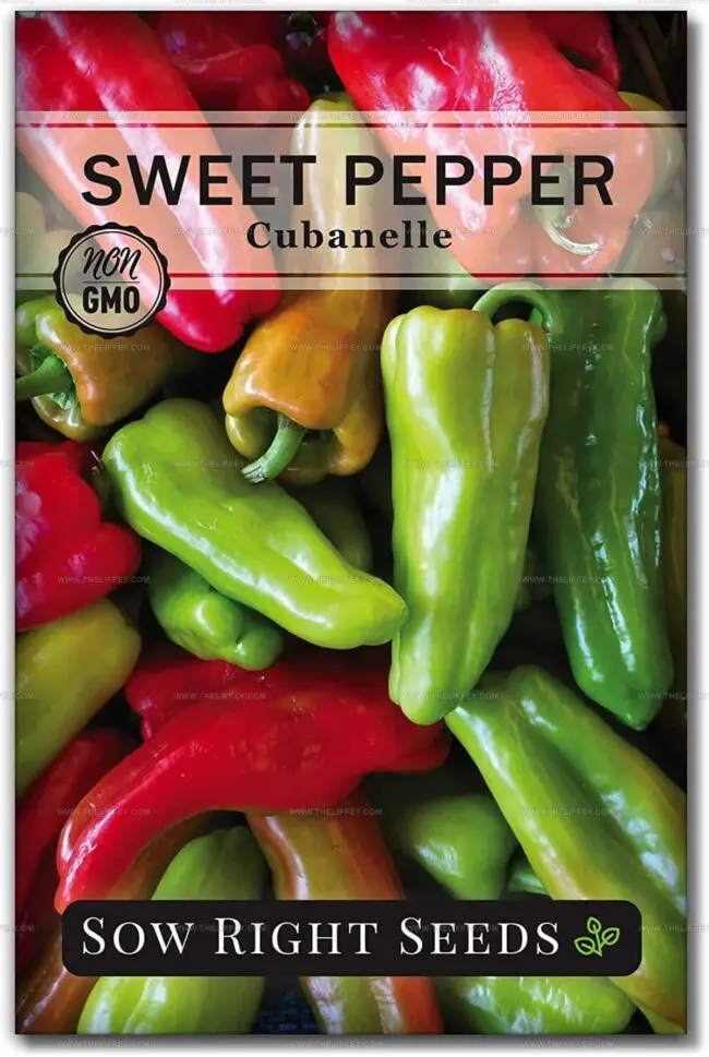 Red Cubanelle Peppers
