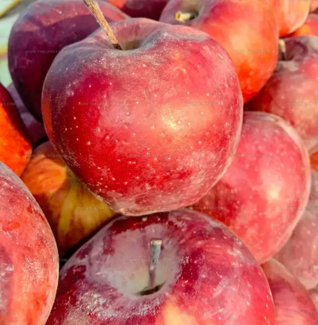 Blue Pearmain Apples