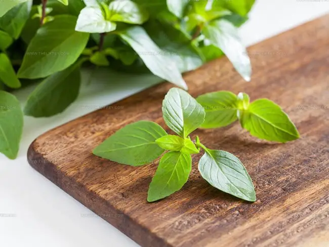 Why Substitute Basil?