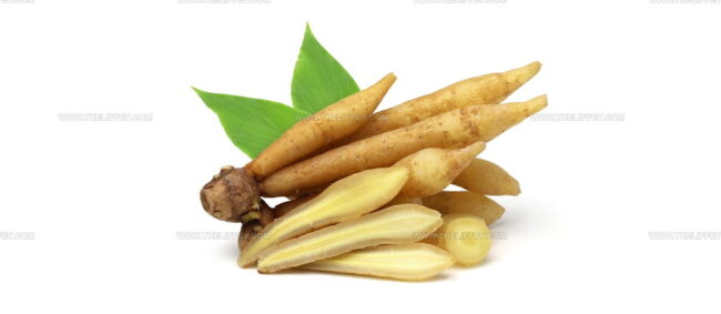 Lesser Galangal (Gou Loeng Goeng)