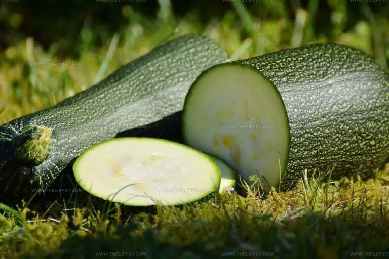 What Does Zucchini Taste Like? Mild Veggie With Hidden Charm