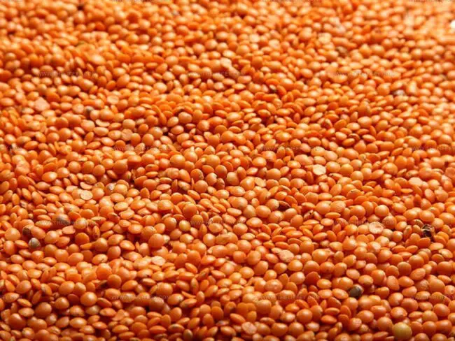 What Makes Red Lentils Unique?