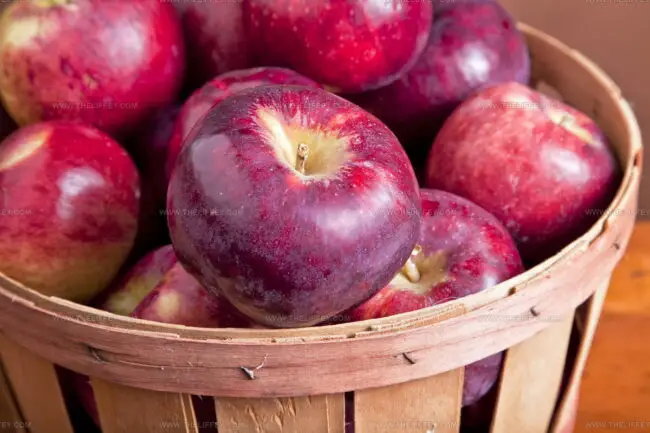 Cortland Apples