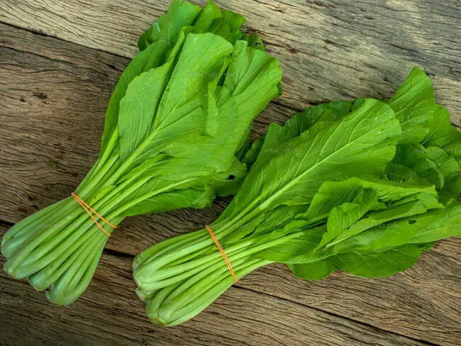 Mustard Greens Overview