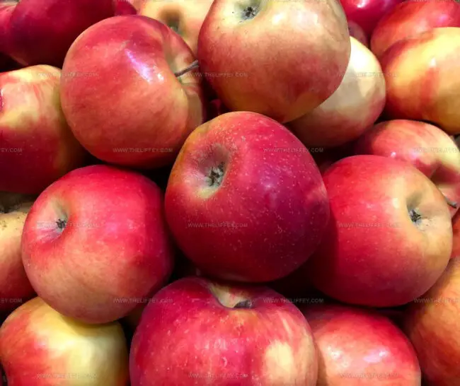 Esopus Spitzenburg Apples