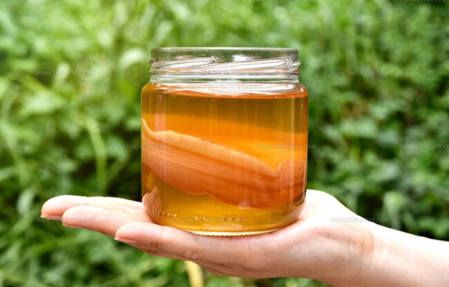 Kombucha