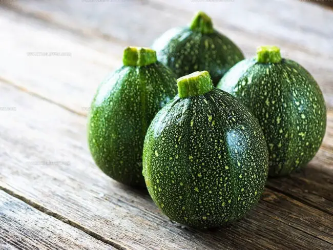 Types of Zucchini