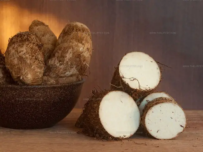The Overview of Yam