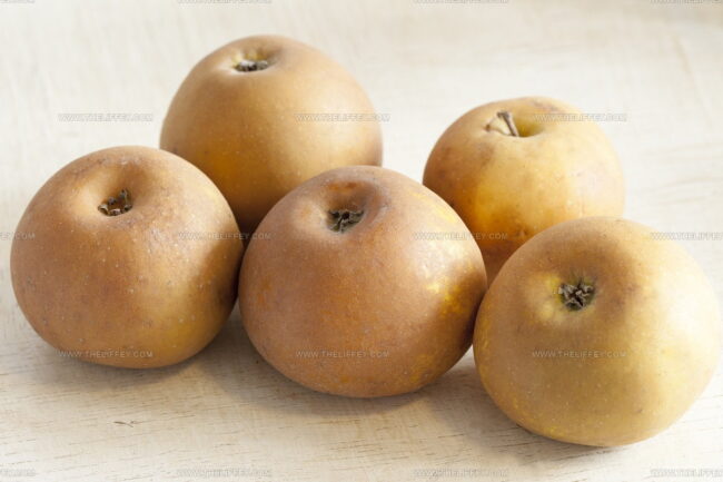 Hunt Russet Apples