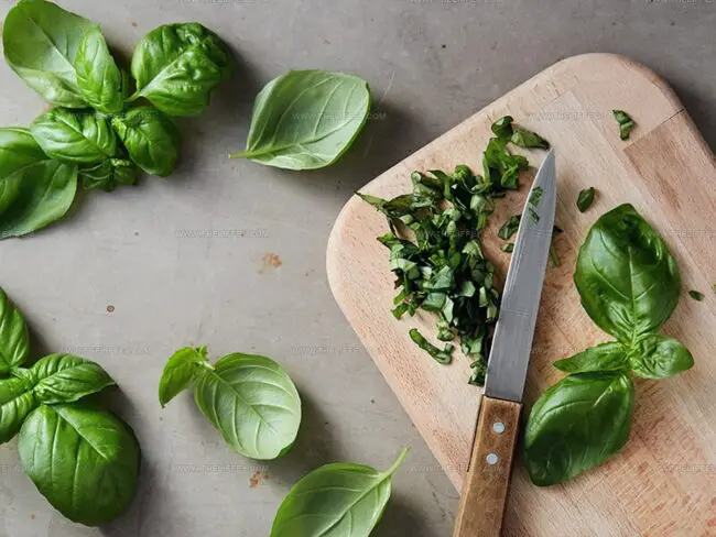 Growing Your Own Basil