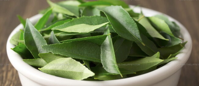 Curry Leaves (Kadi Patta)