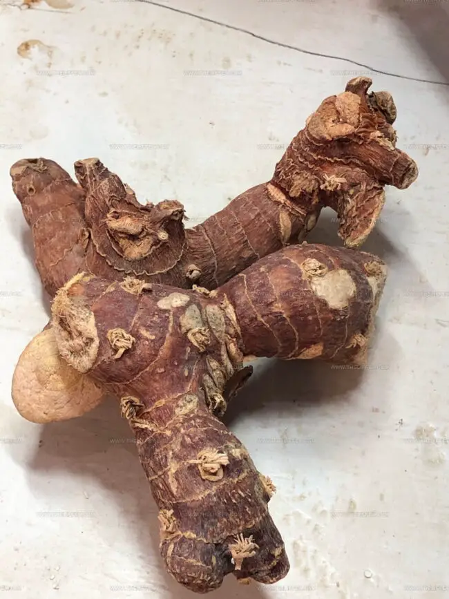 Argo Pandan Wangi Dried Galangal